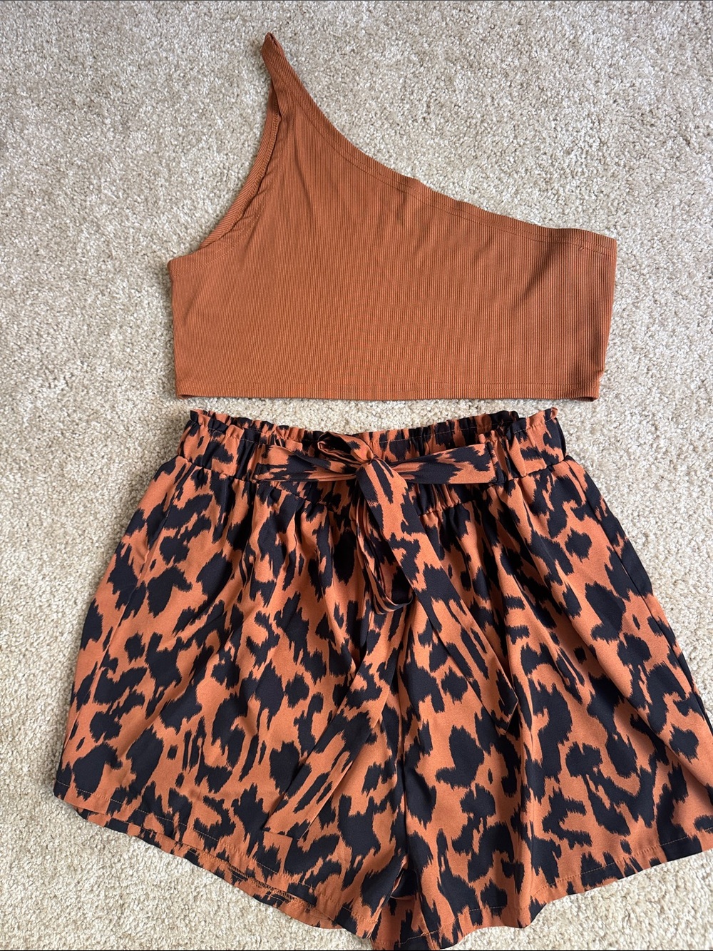 Rust Animal-Print Tie-Waist Skirt -
